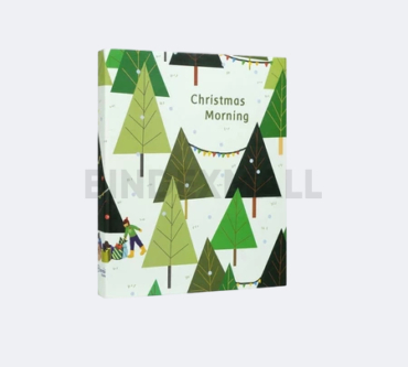 BINDEXMALL - 2526PN - C