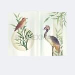 Bambi Dokumen Folder A4 Isi 20 Pocket Tipe Document Pocket Edisi Display Book Medium Green Original - Gambar 3