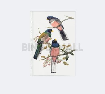 BINDEXMALL - 5021 - C