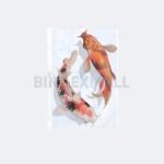 Plastik Pelindung Dokumen Folio Bindex Sheet Protector Super Clear 0.05mm Isi 20 Lembar Original - Gambar 2