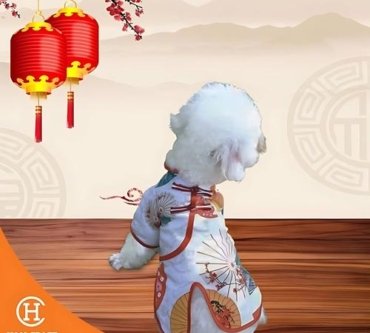 Baju Anjing Cheongsam Dress Dog Clothes