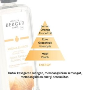 Refill Diffuser Fragrances 1L Maison Berger Energy 1