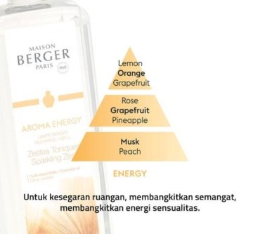 Refill Diffuser Fragrances 1L Maison Berger Energy 1