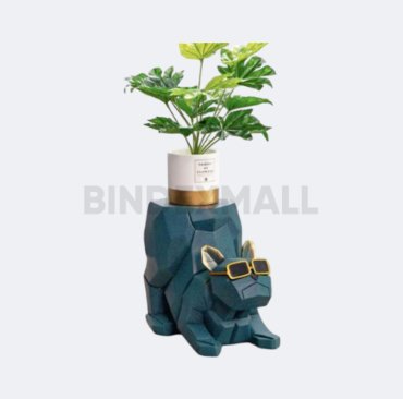 bindexmall - cool-dog