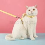Bear Pattern Cute Pet Harness & Leash Set - Gambar 3