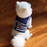 Wiz BBQT Sailor Dog Harness (Large) - Gambar 3