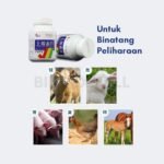 SOIL ZERO Vegetarian Oxytetracycline Tablets – 1000 Tablet - Gambar 3