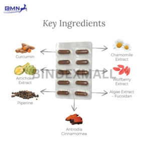 Antrodia Plus Curcuma Capsules 2