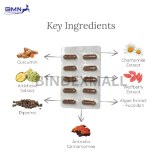 Antrodia Plus Curcuma Capsules 2