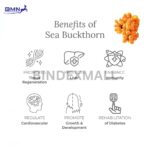 Sea Buckthorn Oil Softgels Premium – 60 Kapsul untuk Kulit & Rambut Sehat - Gambar 3