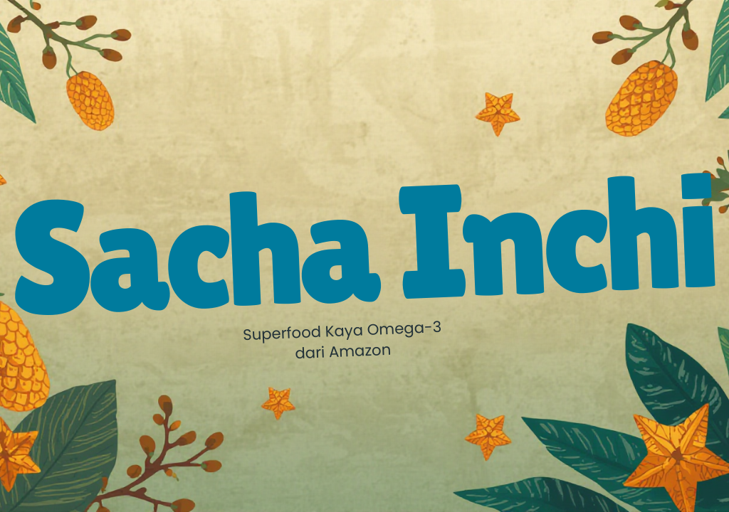 Biji sacha inchi segar kaya omega-3 untuk kesehatan jantung