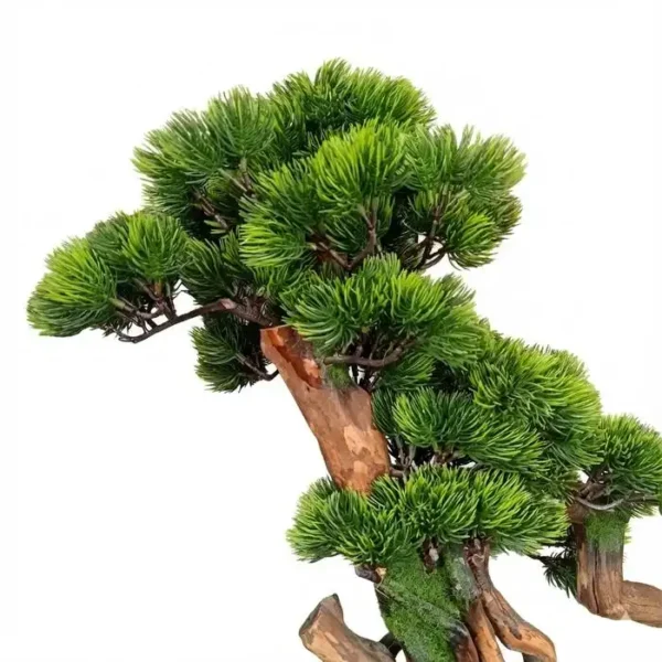 Dekorasi Pajangan Artifical Bonsai Indoor Decoration
